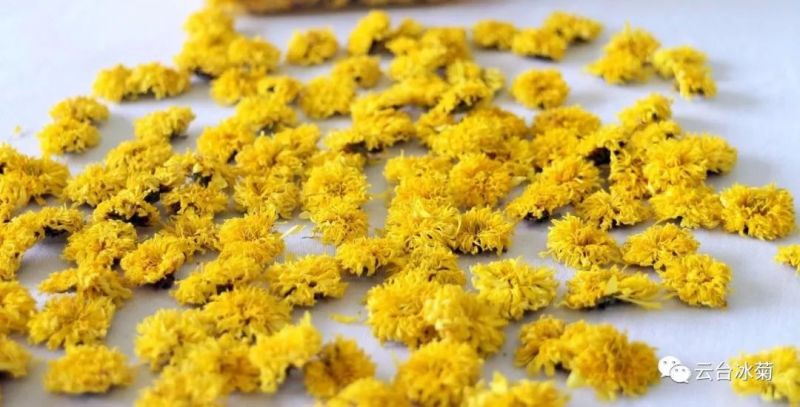 2018，種下希望，靜待花開！